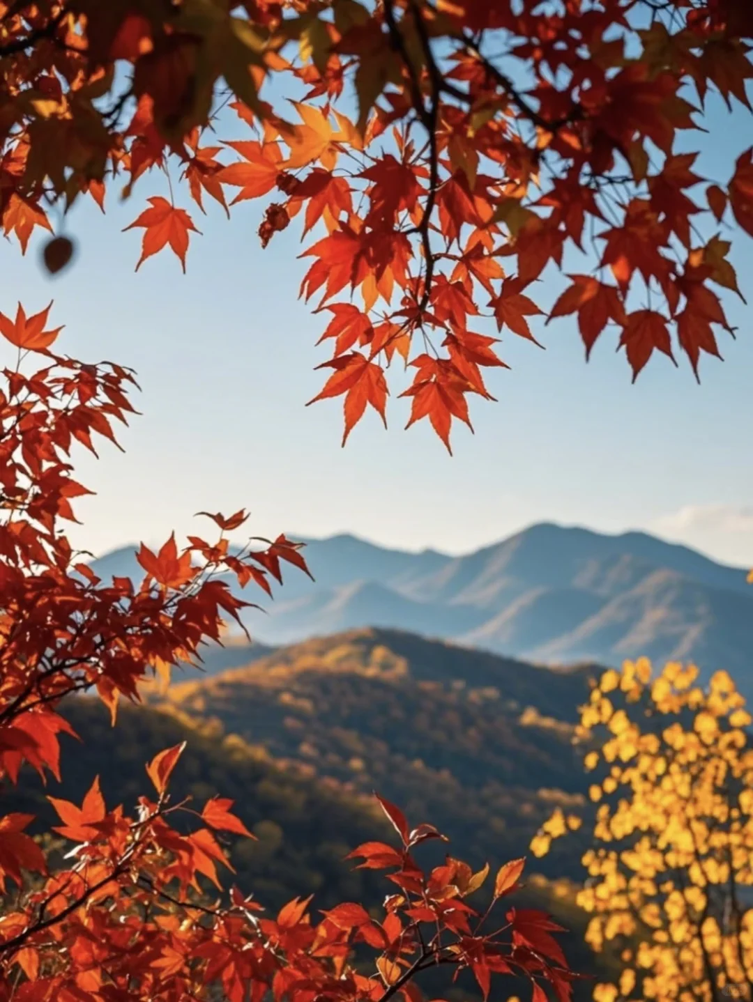 北京秋天必去9大景点｜附省💰秘籍