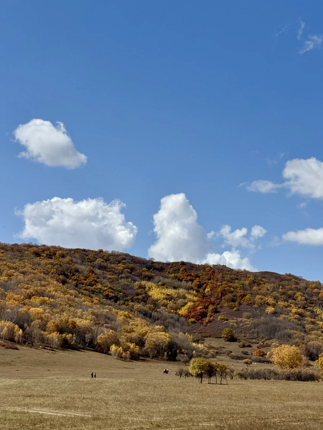 内蒙自驾实时分享|乌兰布统2025年最新攻略