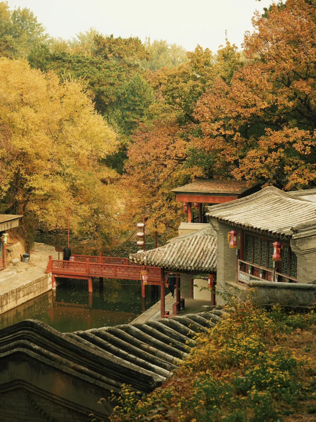 北京秋天🍁如果只能推荐一个公园…