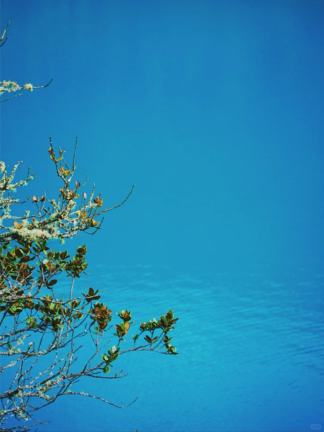 玉龙雪山❗️不做攻略真的太多坑（含详细攻略