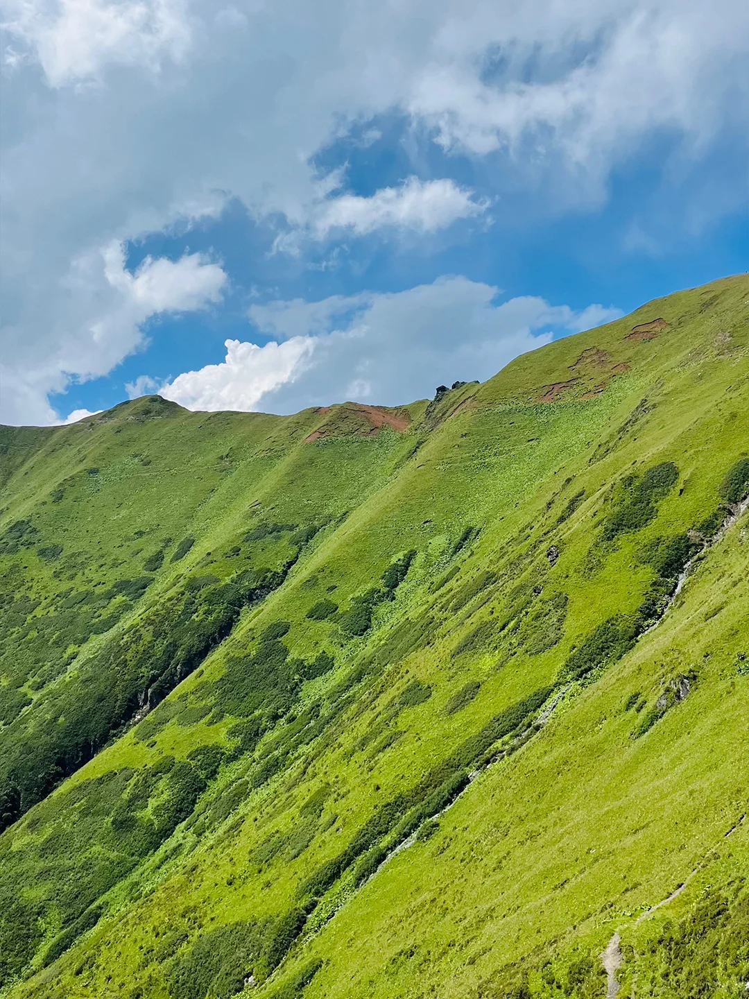 汶川阿尔沟徒步,成都往返一日游💰98