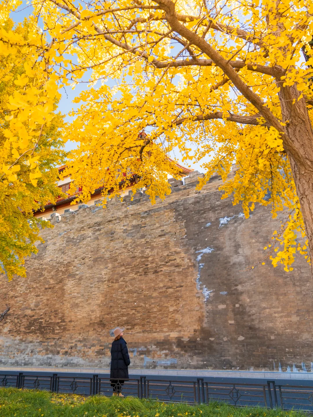 迄今为止❗️我最爱的北京赏秋citywalk 路线
