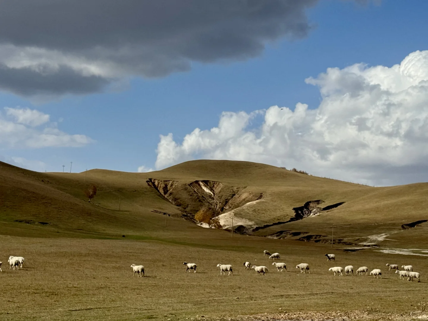 内蒙自驾实时分享|乌兰布统2025年最新攻略