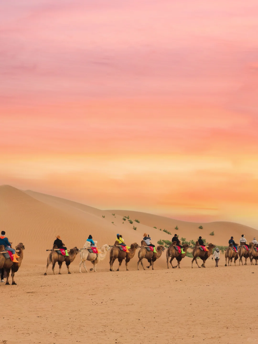 玩宁夏！只需要周内请假一天（攻略）