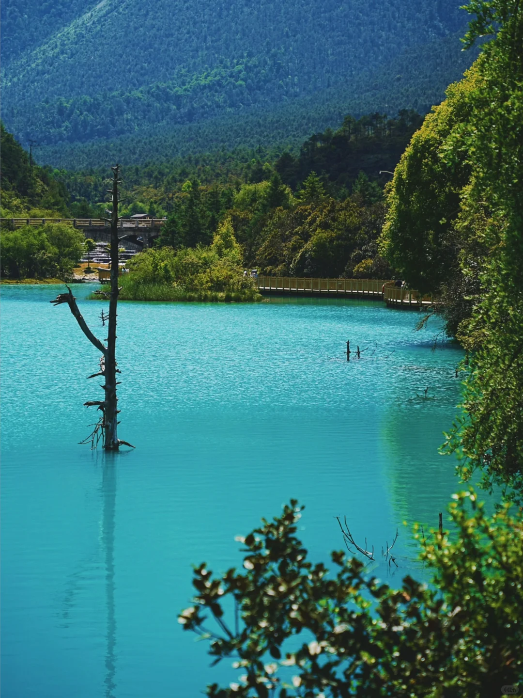 玉龙雪山❗️不做攻略真的太多坑（含详细攻略
