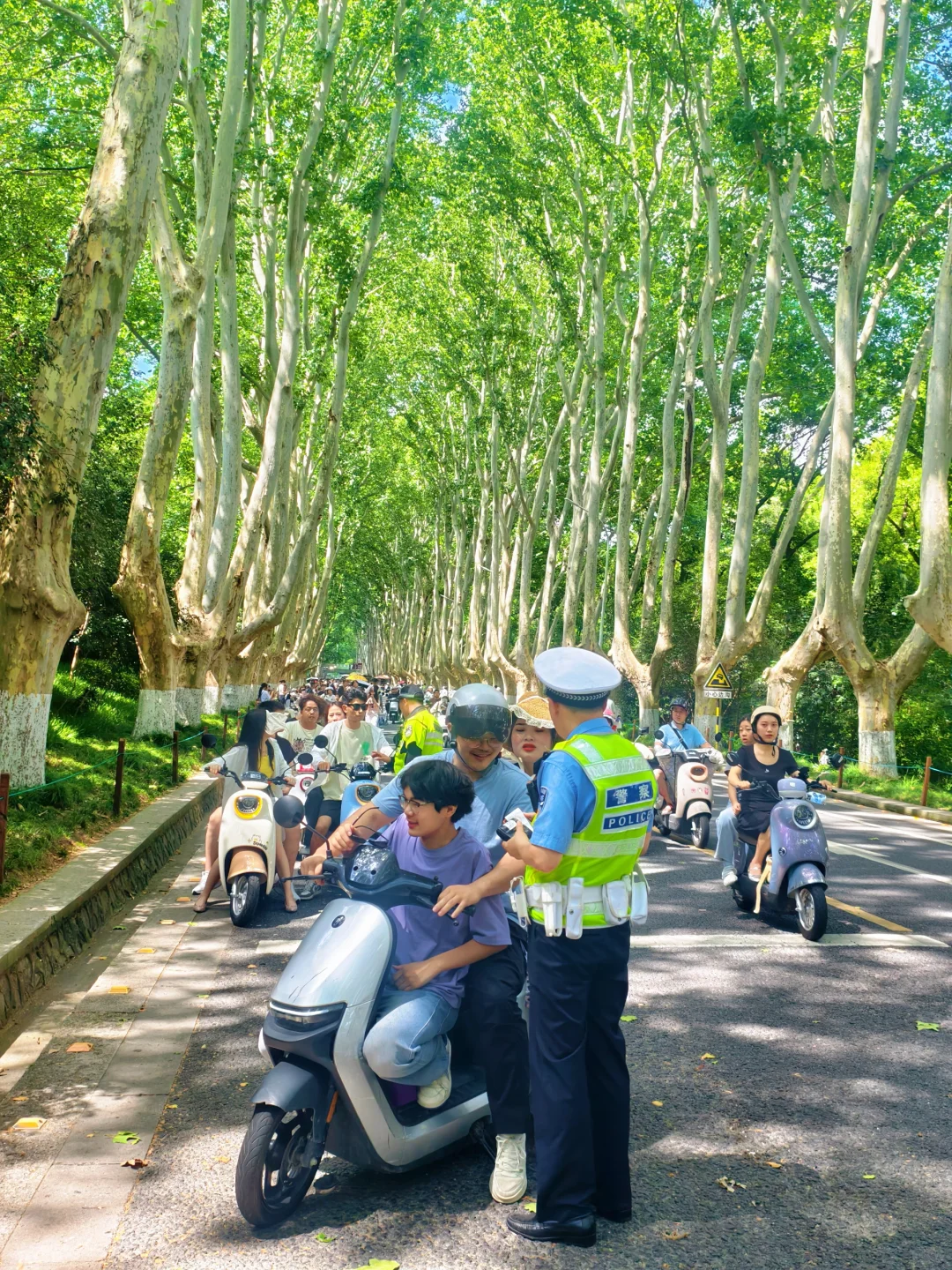钟山风景区已回,真心建议骑车的听劝!