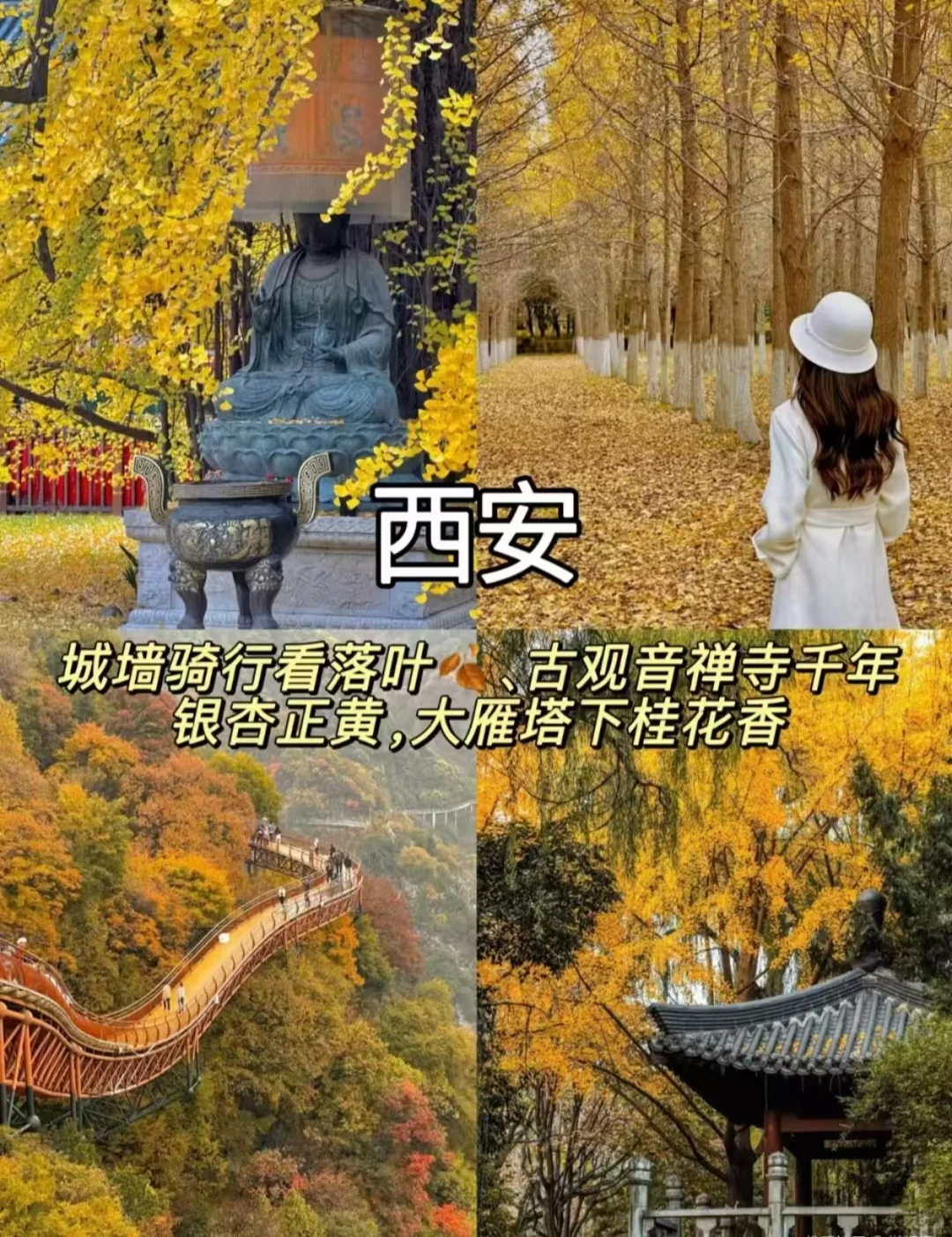 10-12月最适合慢慢品的9座秋日小城