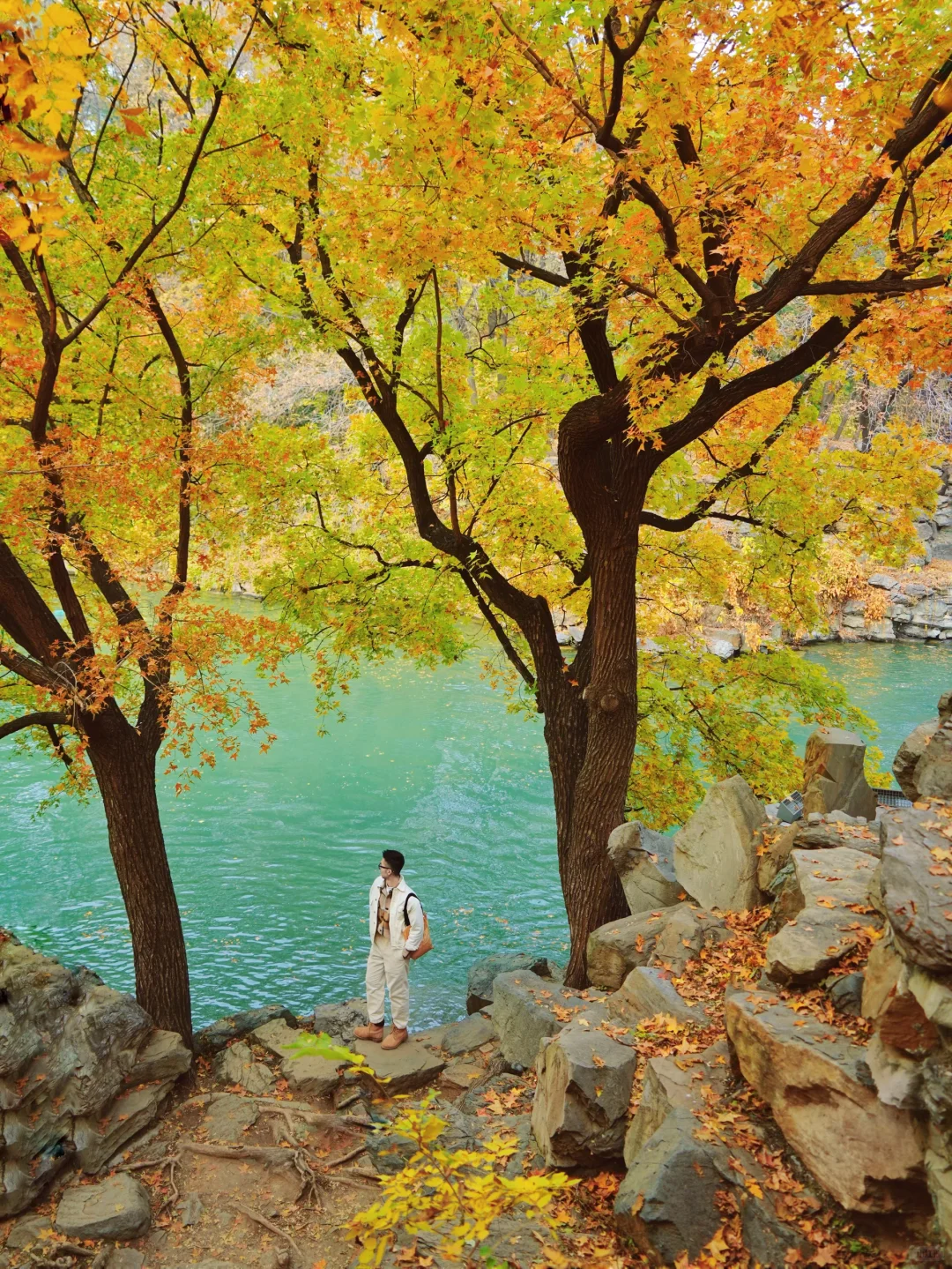 北京秋天🍁如果只能推荐一个公园…