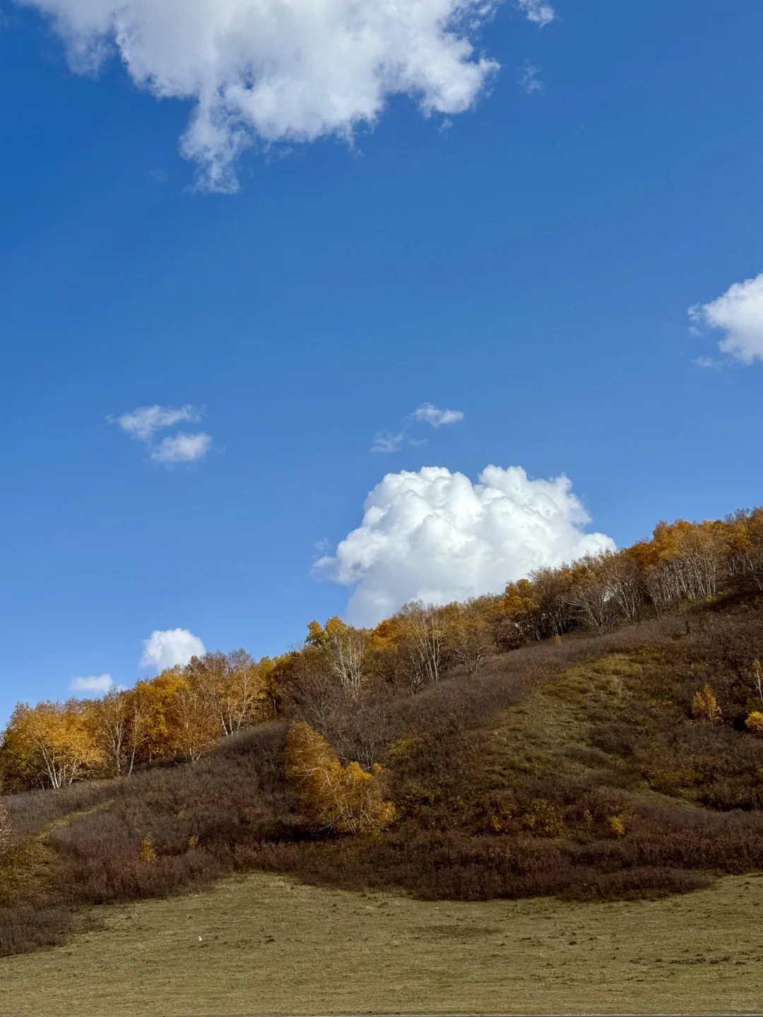 内蒙自驾实时分享|乌兰布统2025年最新攻略