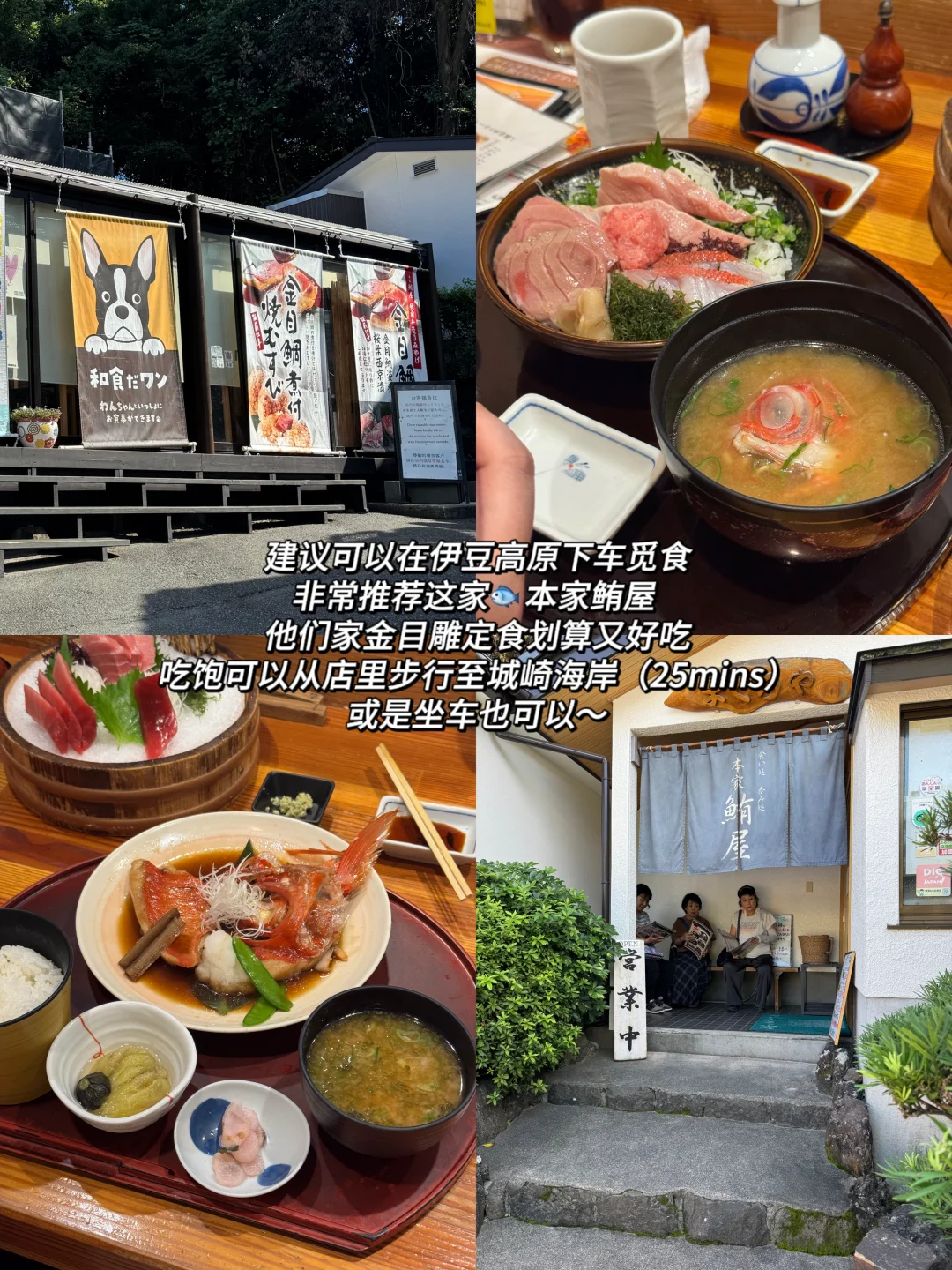 伊豆两天一夜旅游攻略⛰️日本的精髓都在乡下