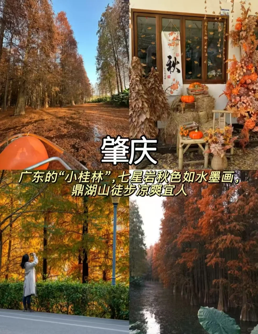 10-12月最适合慢慢品的9座秋日小城