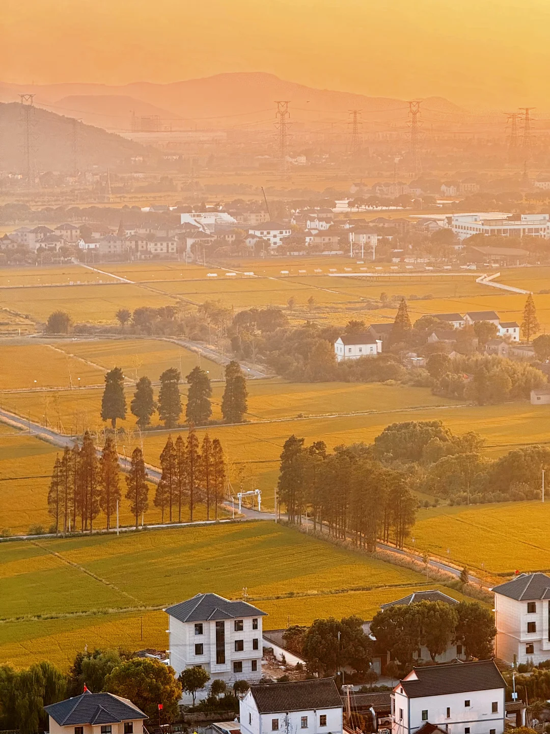 嘉兴丰义｜“最美落日”（CityWalk必打卡路线）