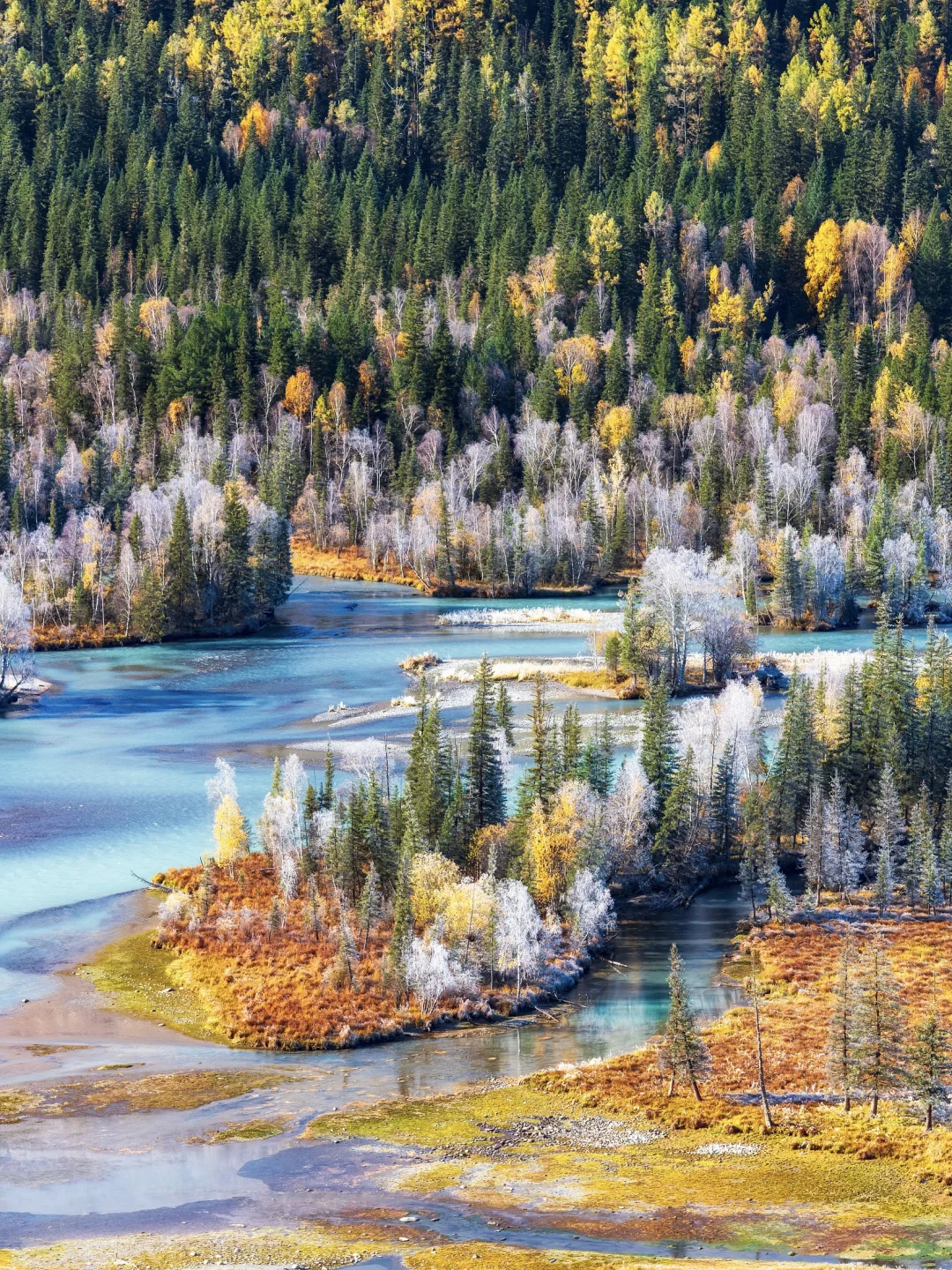 国内赏秋全攻略🍂胜地盘点（上）‼️