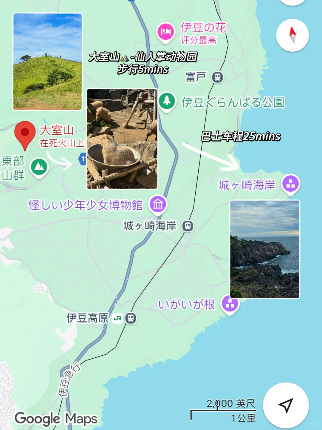 伊豆两天一夜旅游攻略⛰️日本的精髓都在乡下