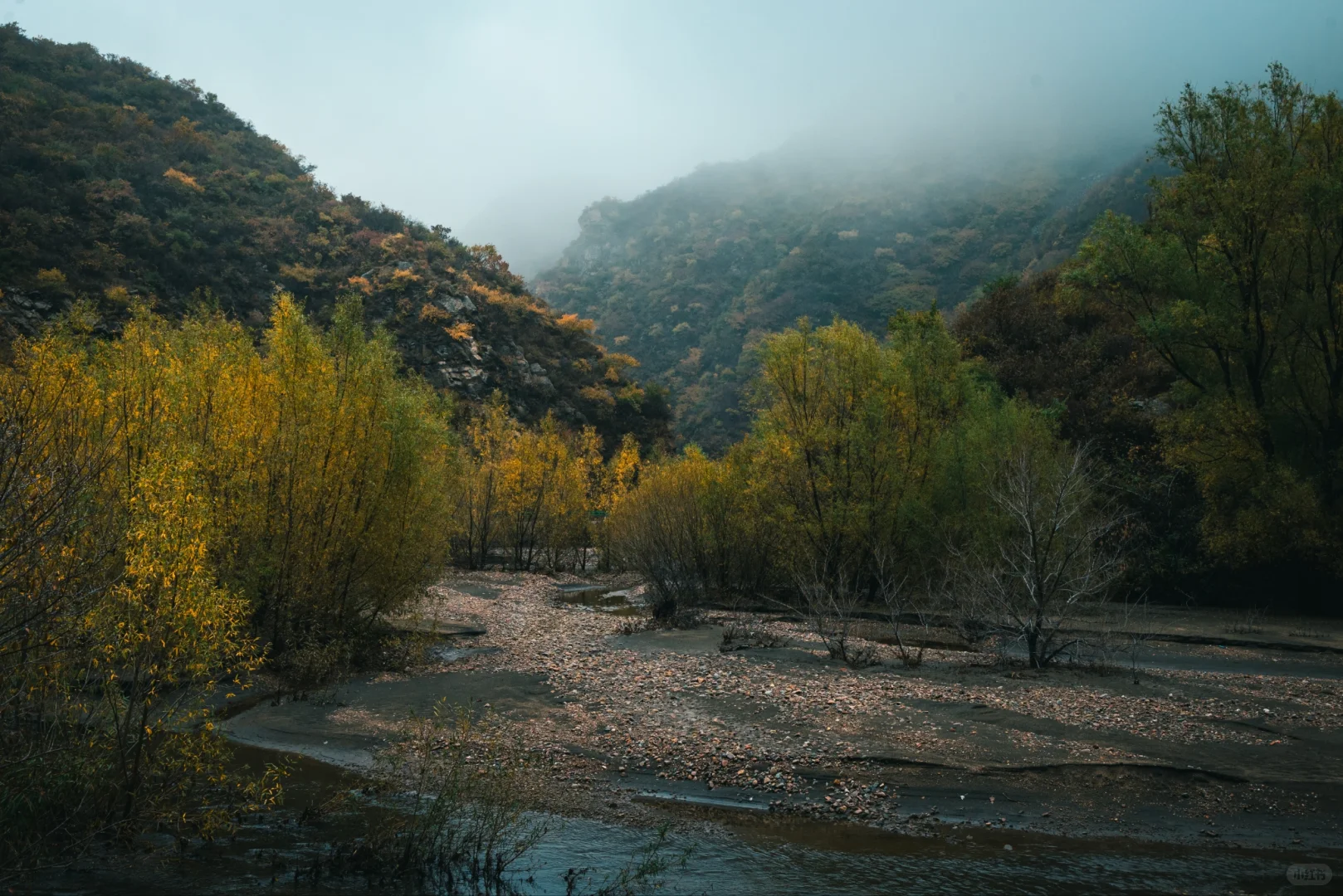 阿尔山平替!张家口这水库秋景美到窒息