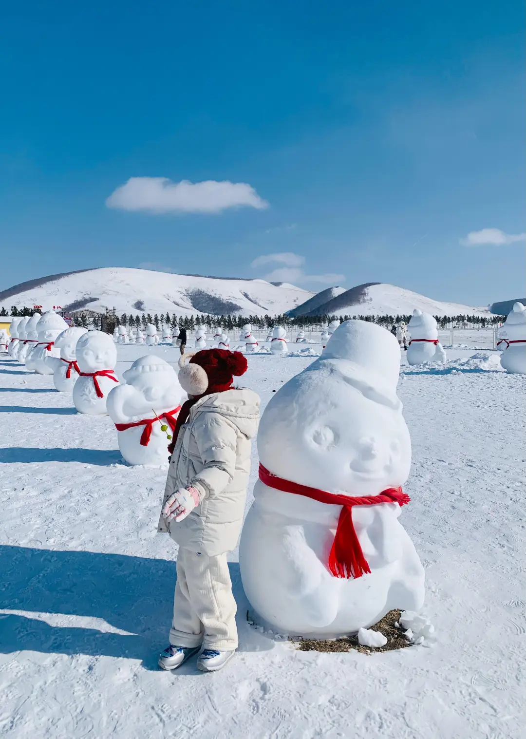 放弃哈尔滨了，高铁直达玩雪地❄️我先冲了