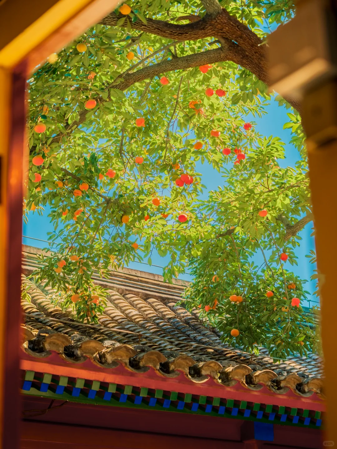 迄今为止❗️我最爱的北京赏秋citywalk 路线