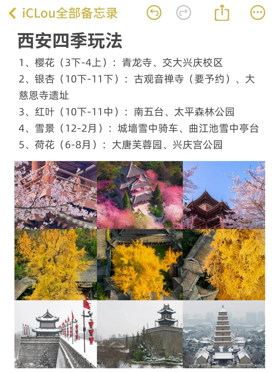 西安景点锐评｜本地人真实感受