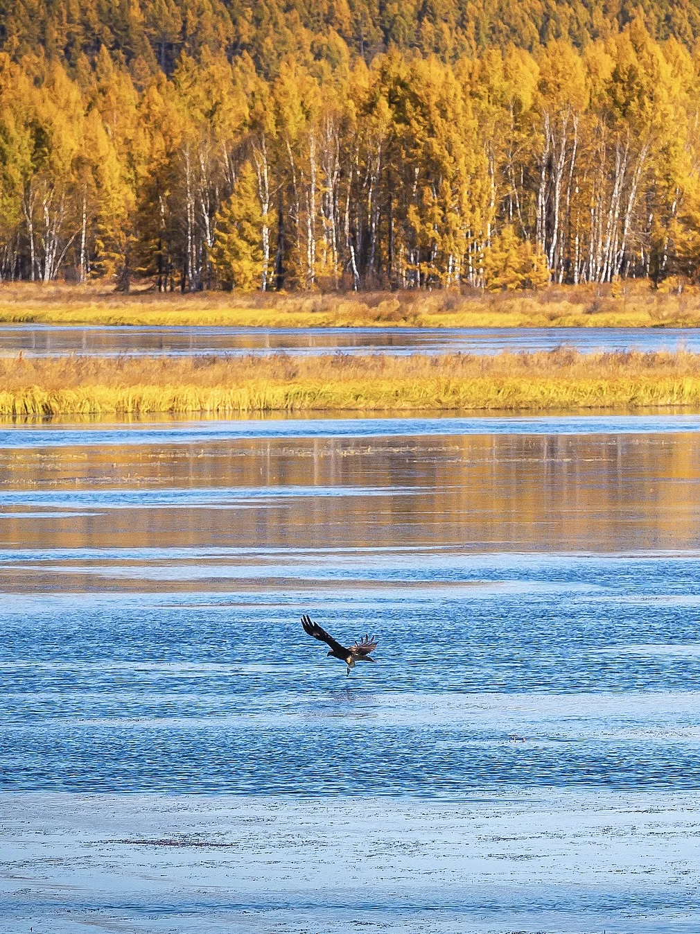 国内赏秋全攻略🍂胜地盘点（上）‼️