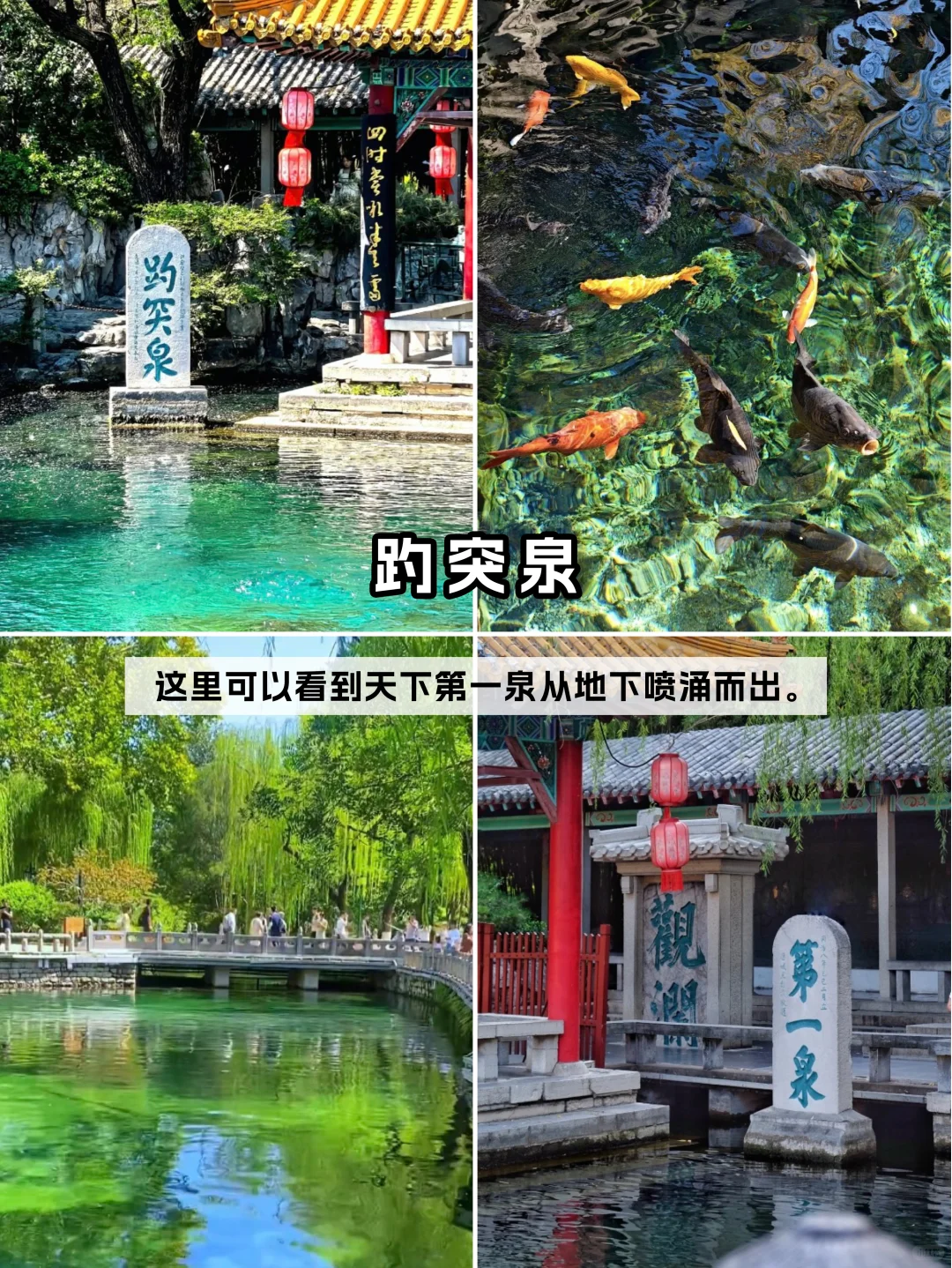 🚄济南1️⃣日游丨详细路线轻松不累