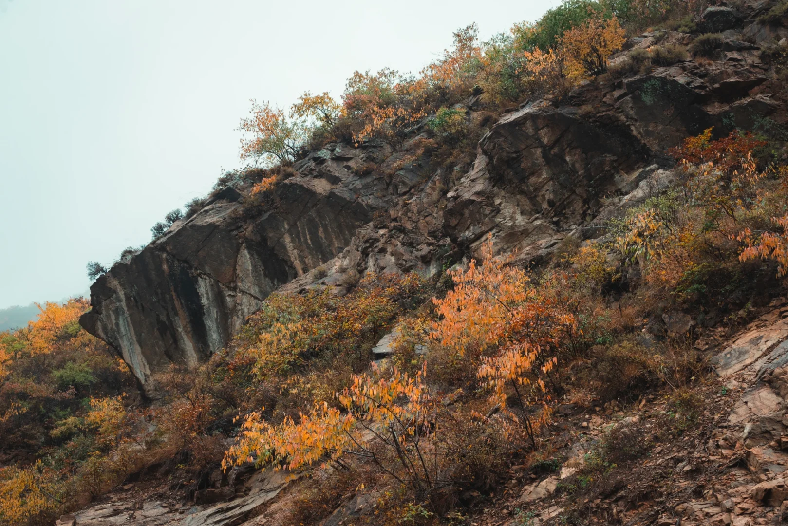 阿尔山平替!张家口这水库秋景美到窒息