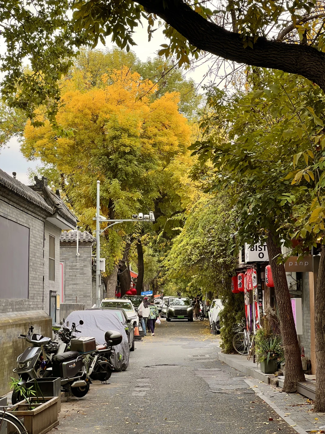 10.17实况|报‼️北锣鼓巷已经美疯了