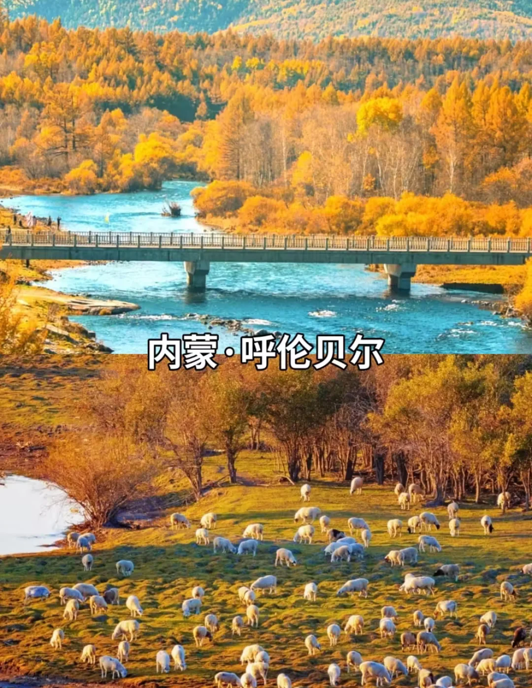 9-11月必打卡 豪国内10大封神赏秋地！