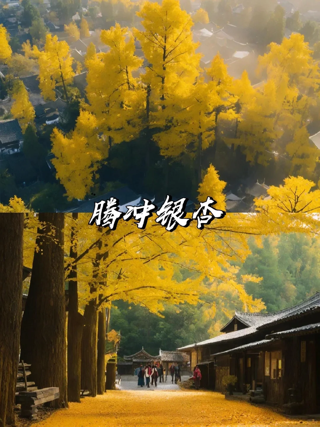 2025赏秋早规划❗9~11月国内绝美旅游地推荐