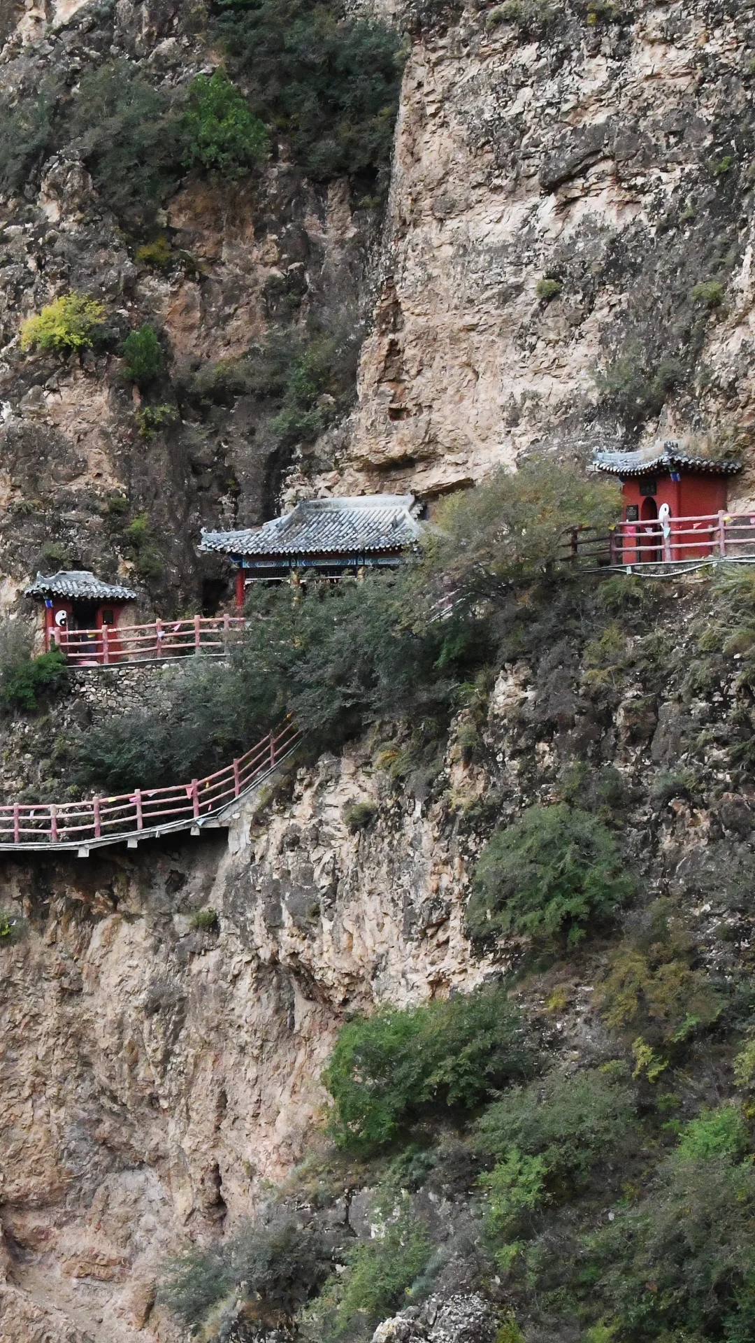 一面崖壁竟挂着28座庙❓北京3h，那很local了