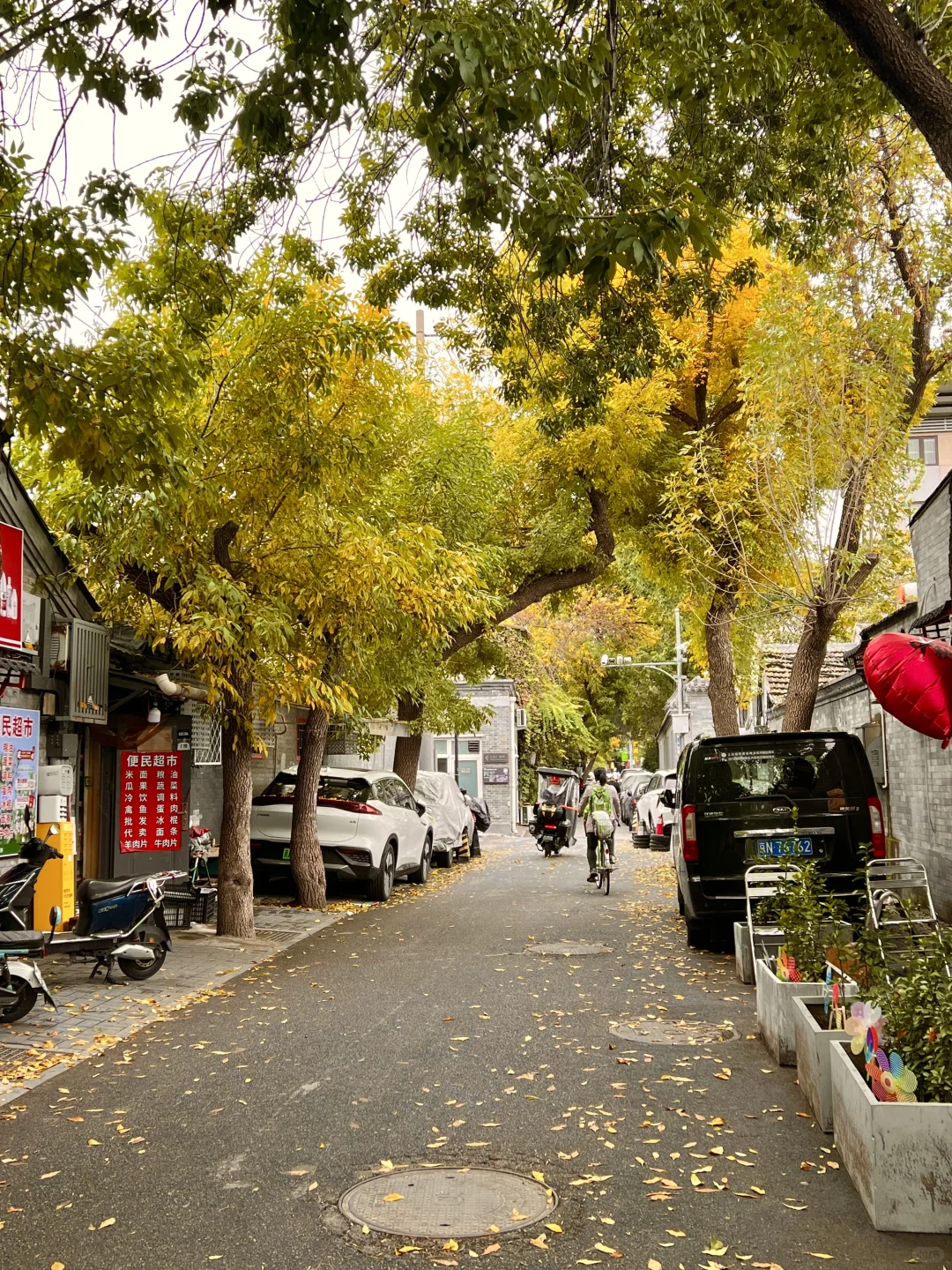 10.17实况|报‼️北锣鼓巷已经美疯了