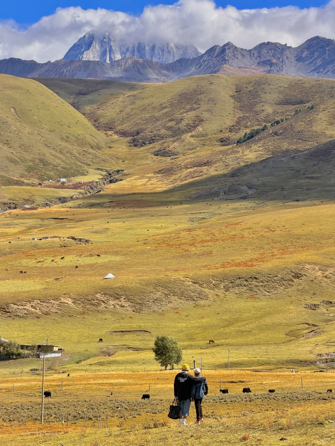 2025.10.9川西秋天,一辈子怀念的地方🍂