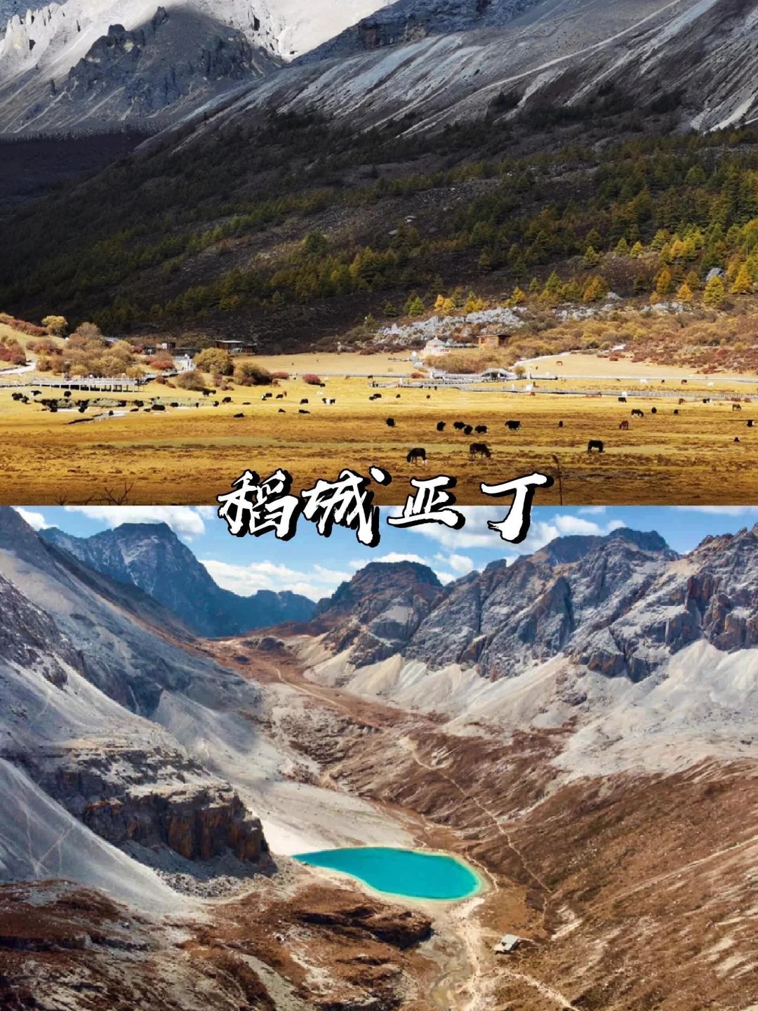 2025赏秋早规划❗9~11月国内绝美旅游地推荐