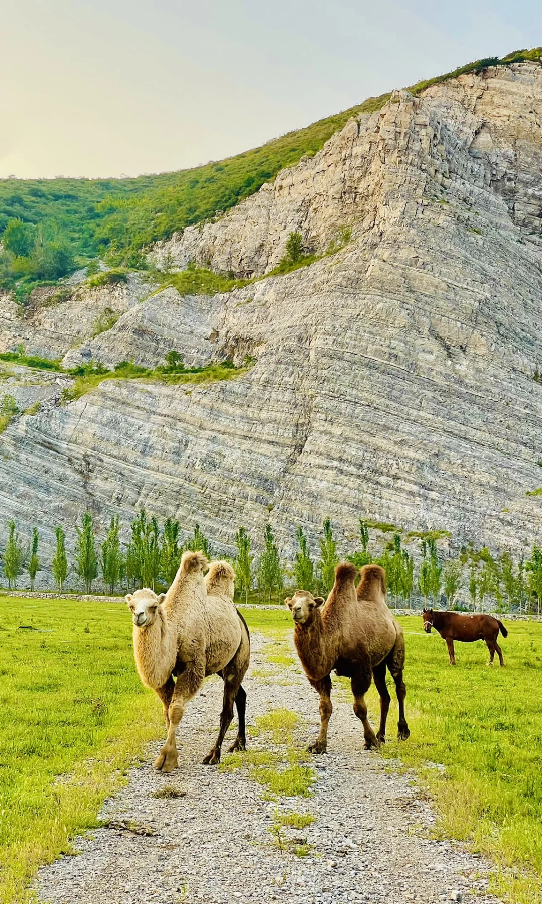 北京1h🚗的“日照金山”太美了❗️人少景美快冲