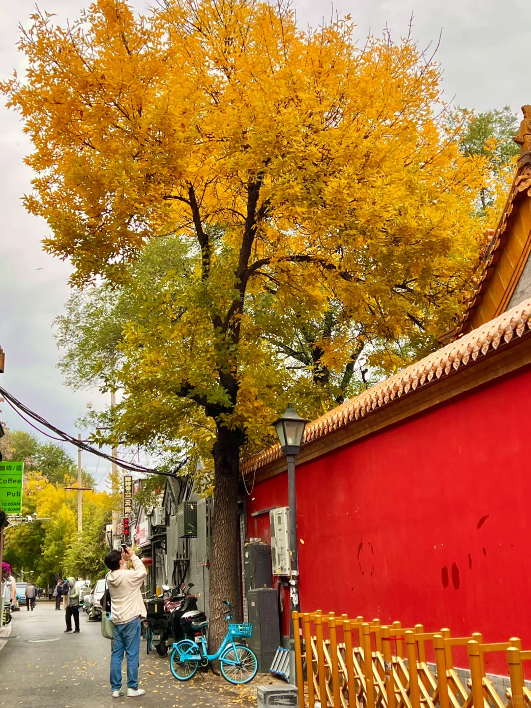 10.17实况|报‼️北锣鼓巷已经美疯了