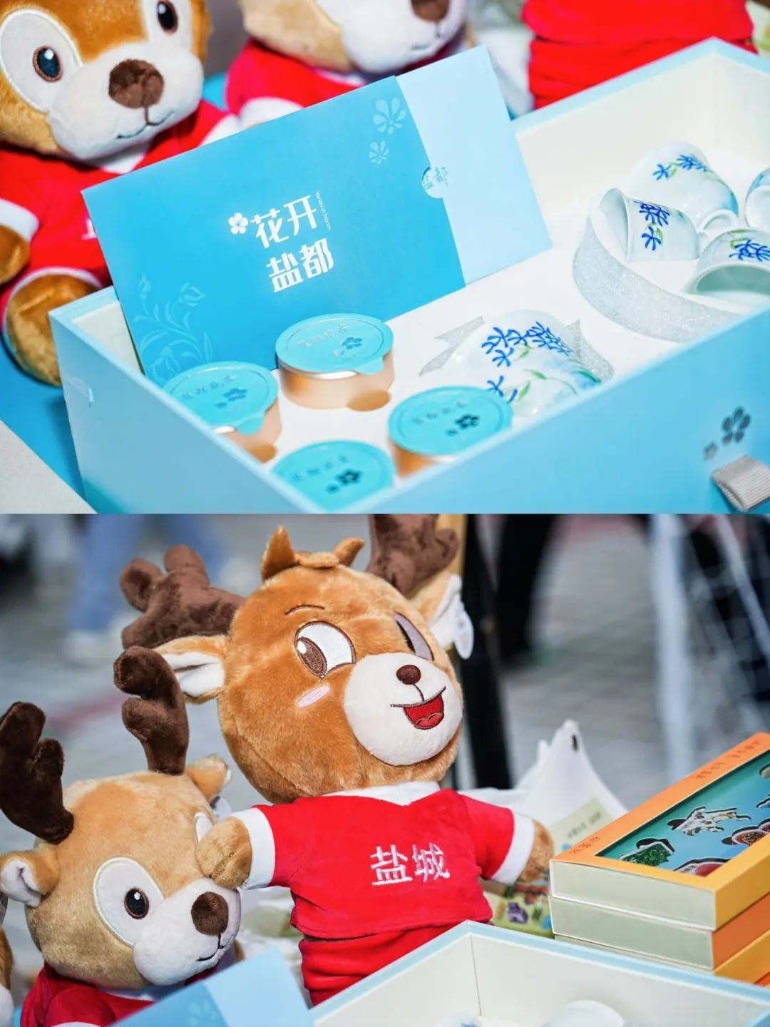 决定了,下个旅行目的地——盐都!