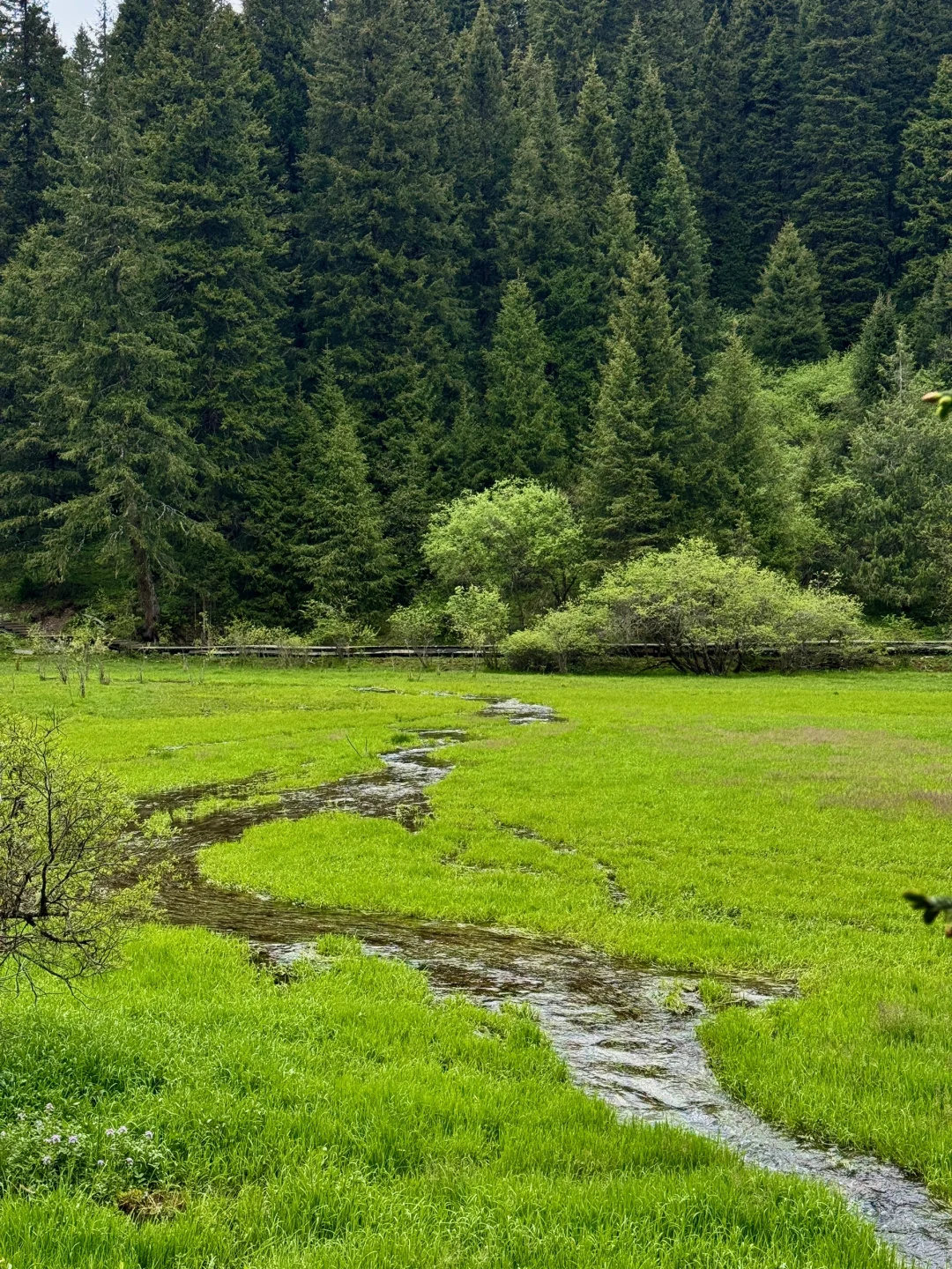 松潘｜进来吸氧💚💚💚