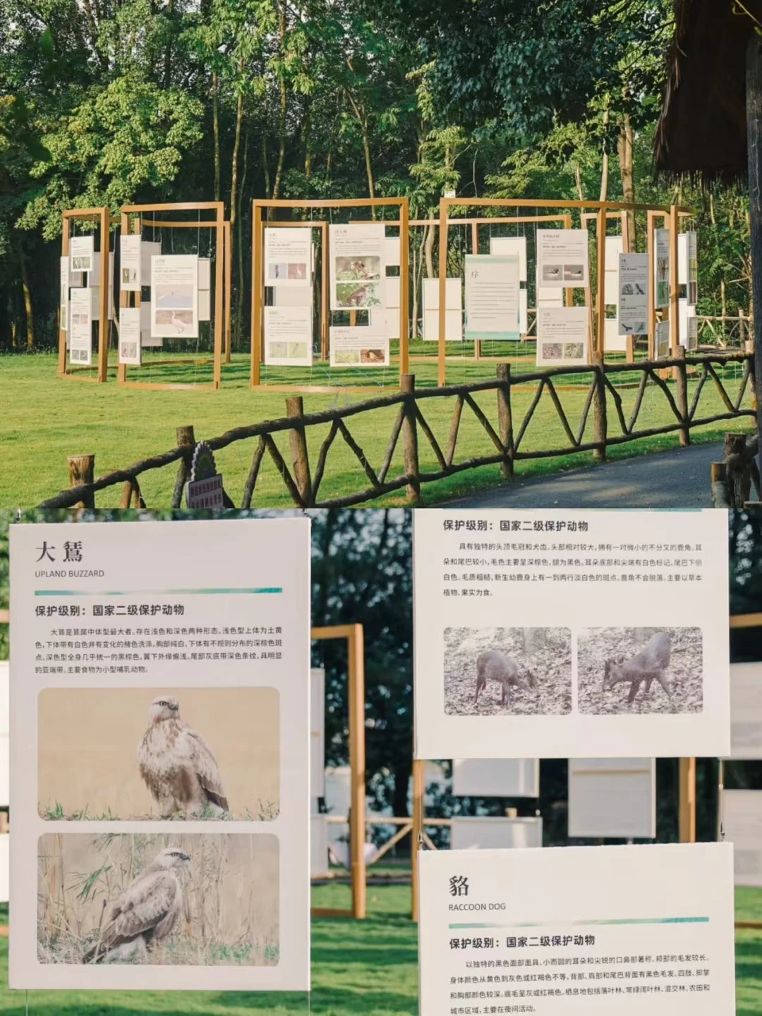 🍂千岛湖秋日漫游指南｜10大必玩景点攻略