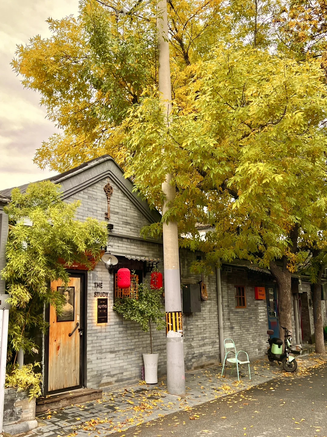 10.17实况|报‼️北锣鼓巷已经美疯了