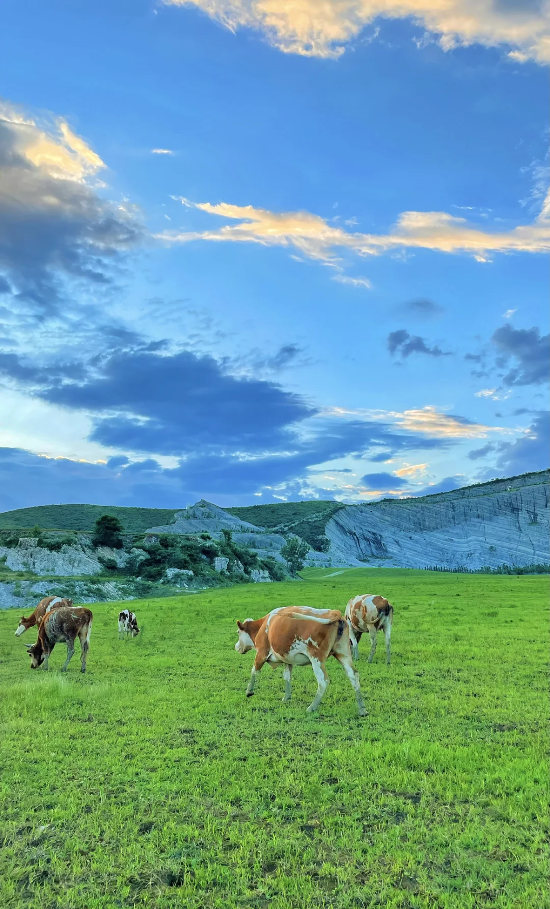 北京1h🚗的“日照金山”太美了❗️人少景美快冲