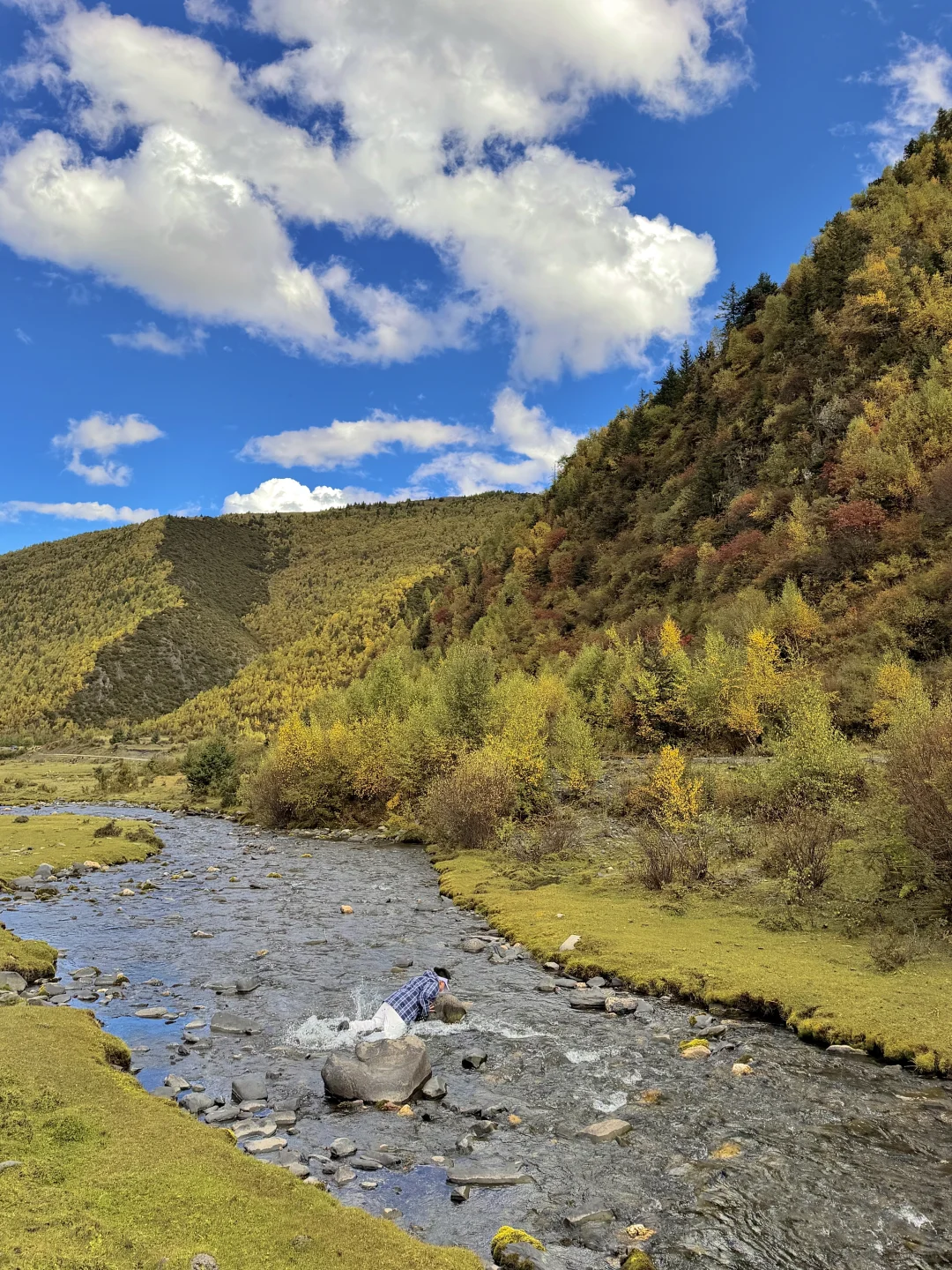 2025.10.9川西秋天,一辈子怀念的地方🍂