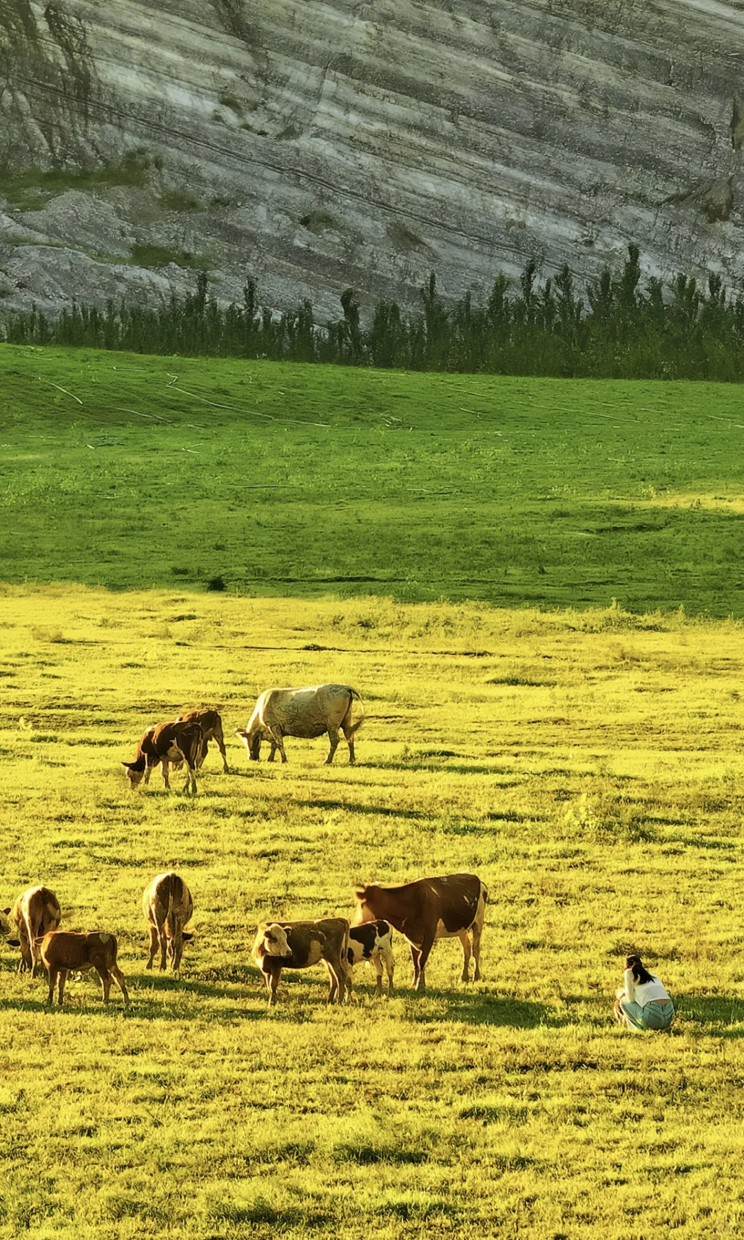 北京1h🚗的“日照金山”太美了❗️人少景美快冲
