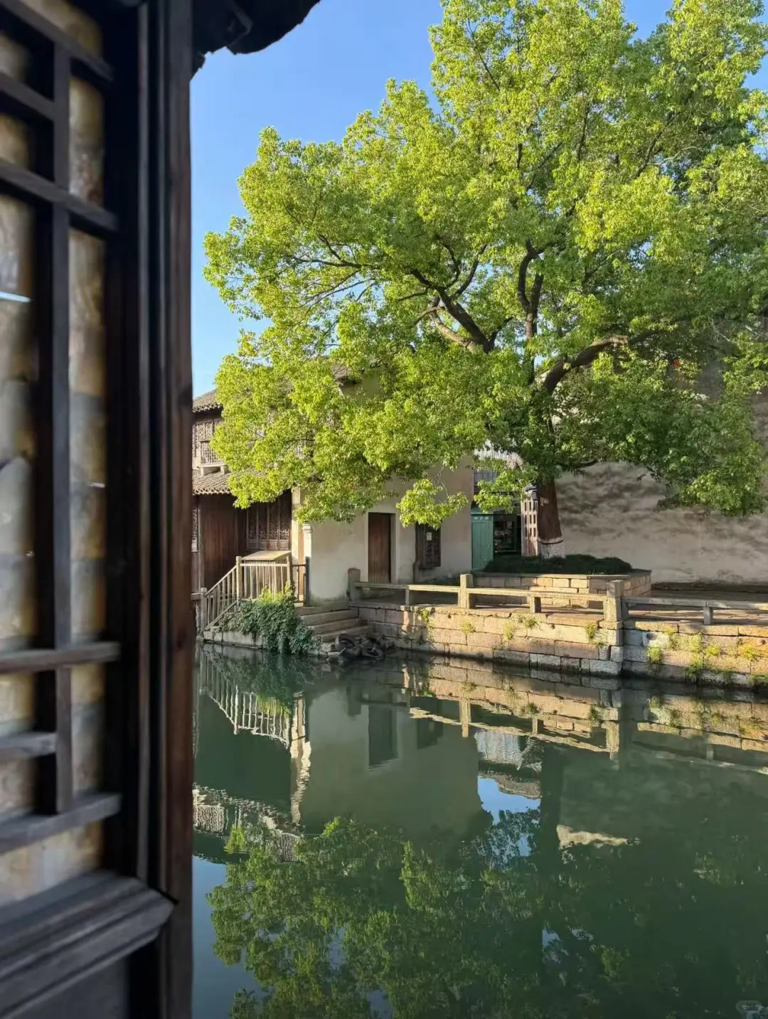 乌镇西栅内!含游船!2天555的宝藏民宿🍃