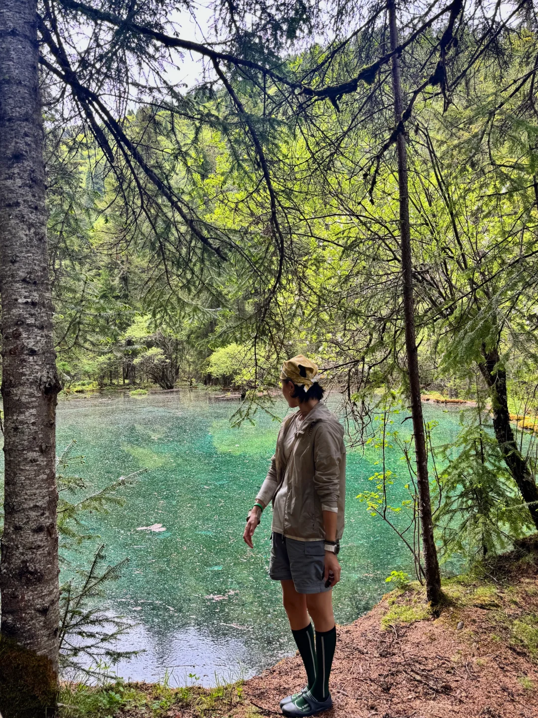 松潘｜进来吸氧💚💚💚