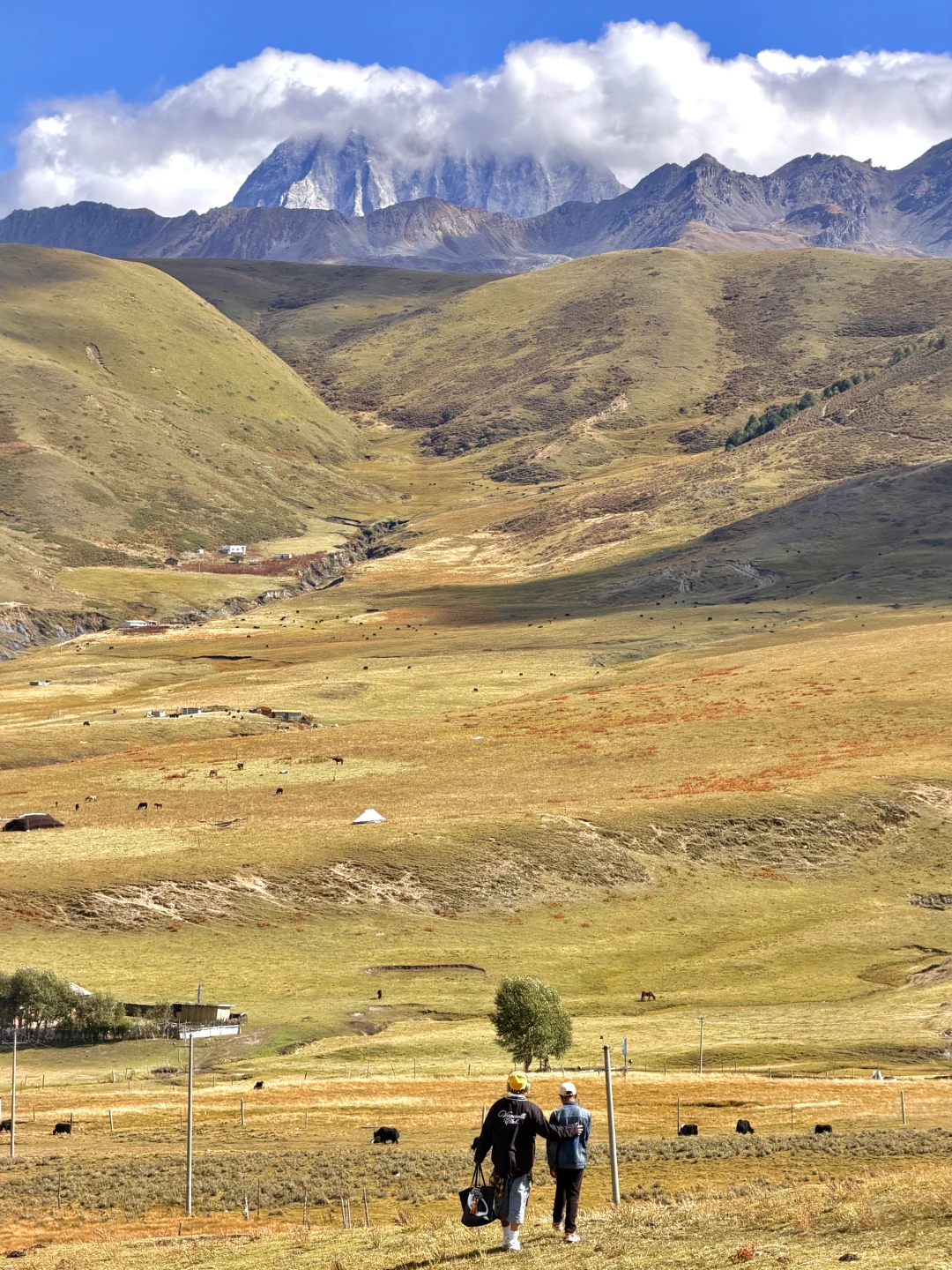 2025.10.9川西秋天,一辈子怀念的地方🍂