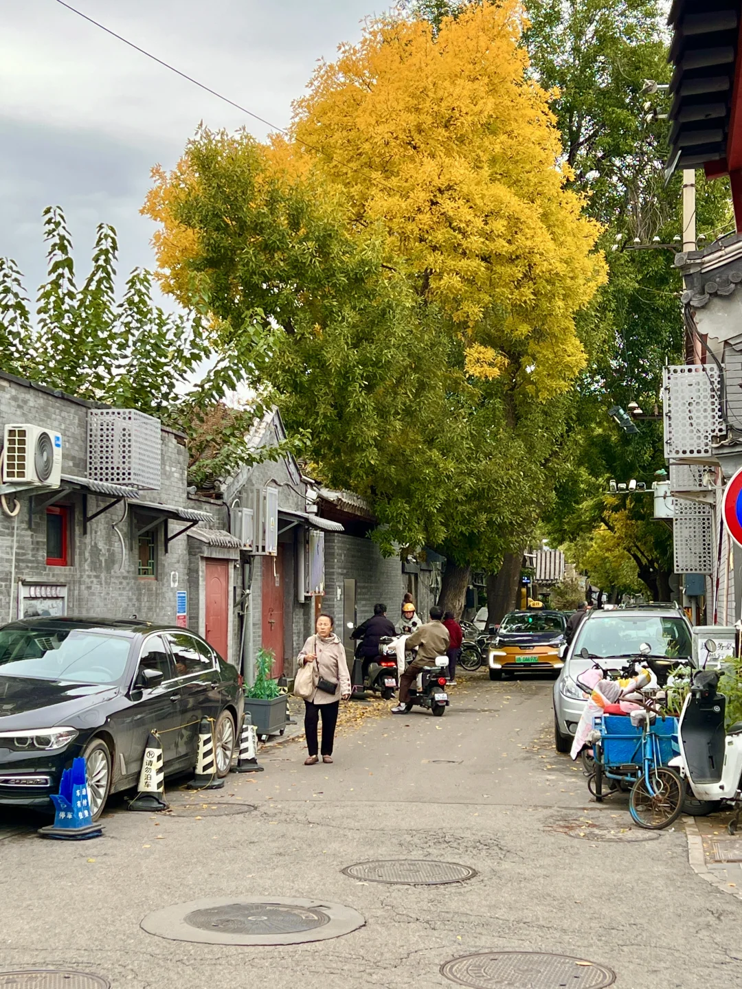 10.17实况|报‼️北锣鼓巷已经美疯了