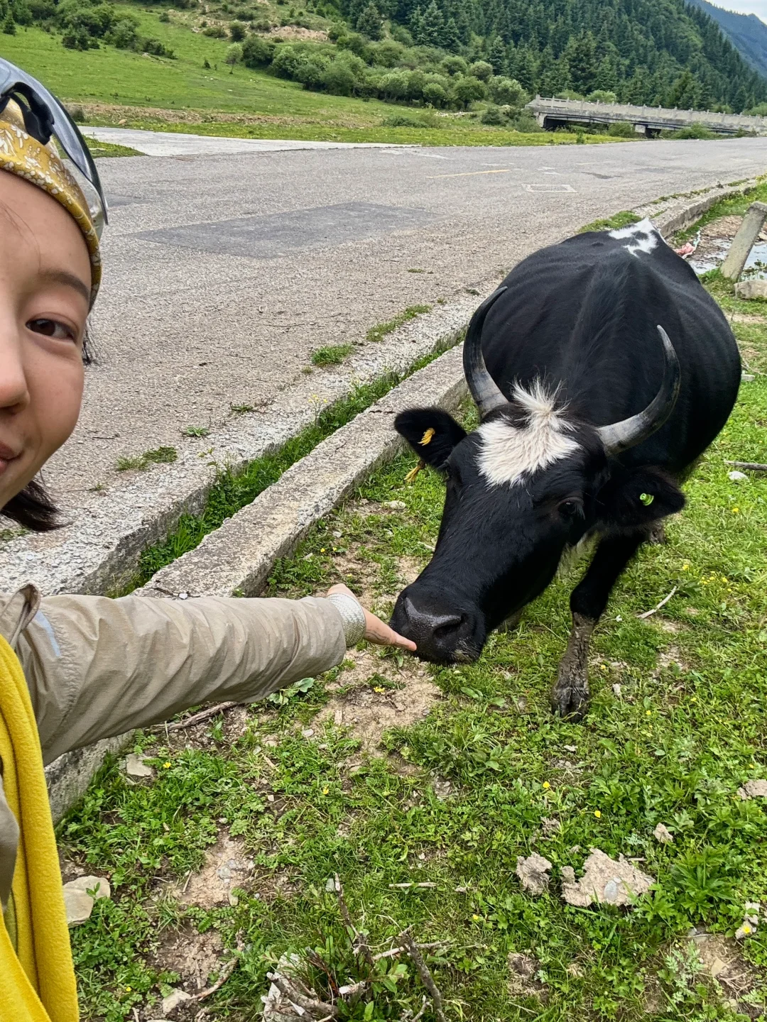 松潘｜进来吸氧💚💚💚