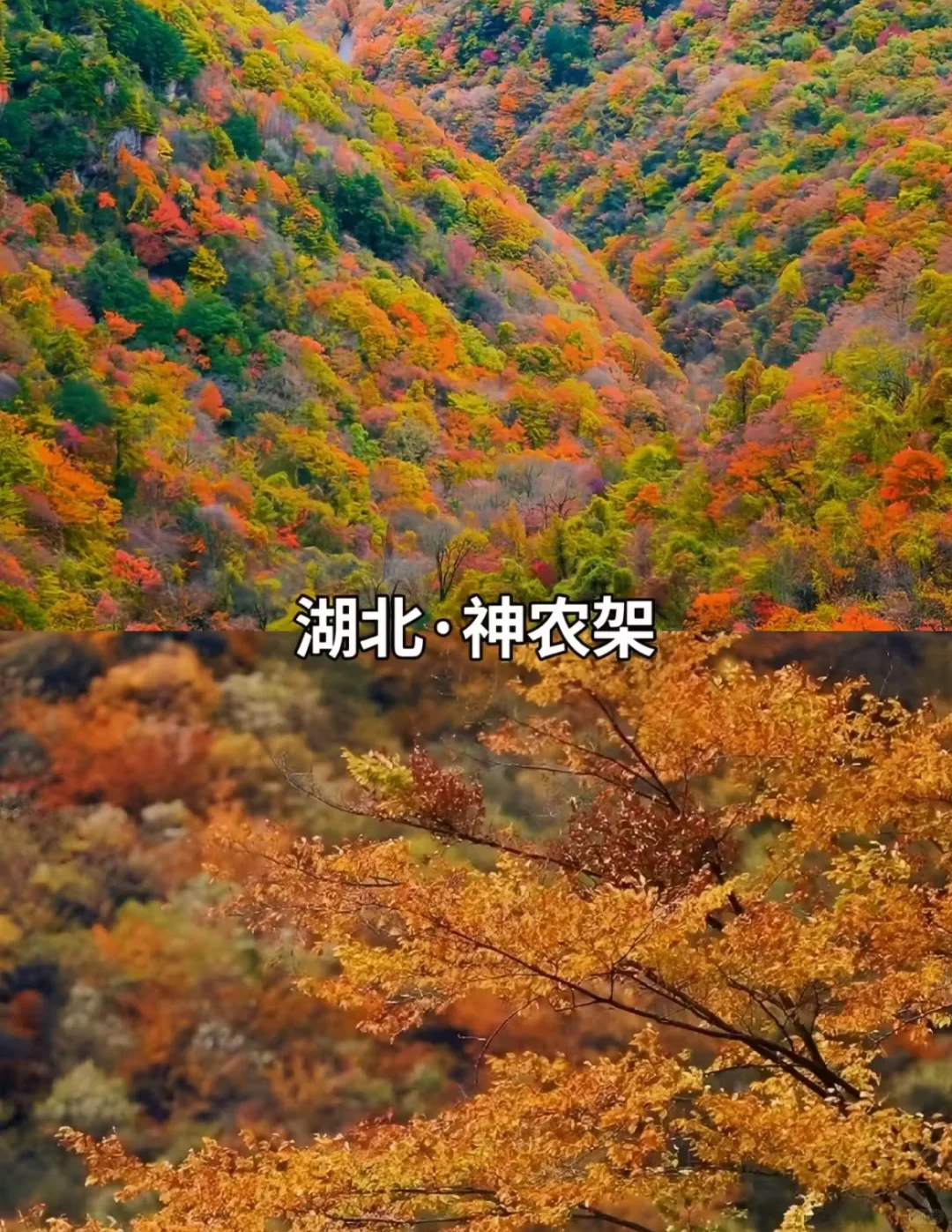 9-11月必打卡 豪国内10大封神赏秋地！