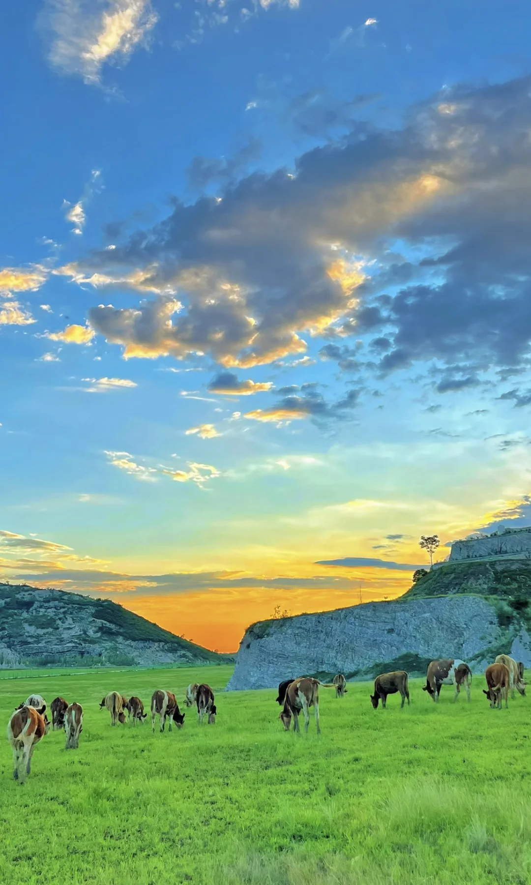 北京1h🚗的“日照金山”太美了❗️人少景美快冲