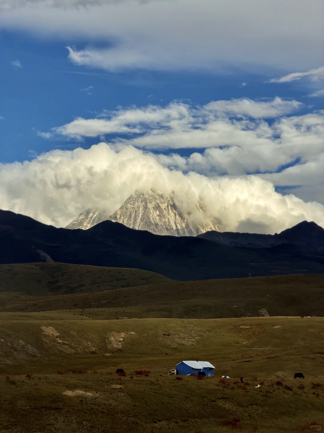 2025.10.9川西秋天,一辈子怀念的地方🍂