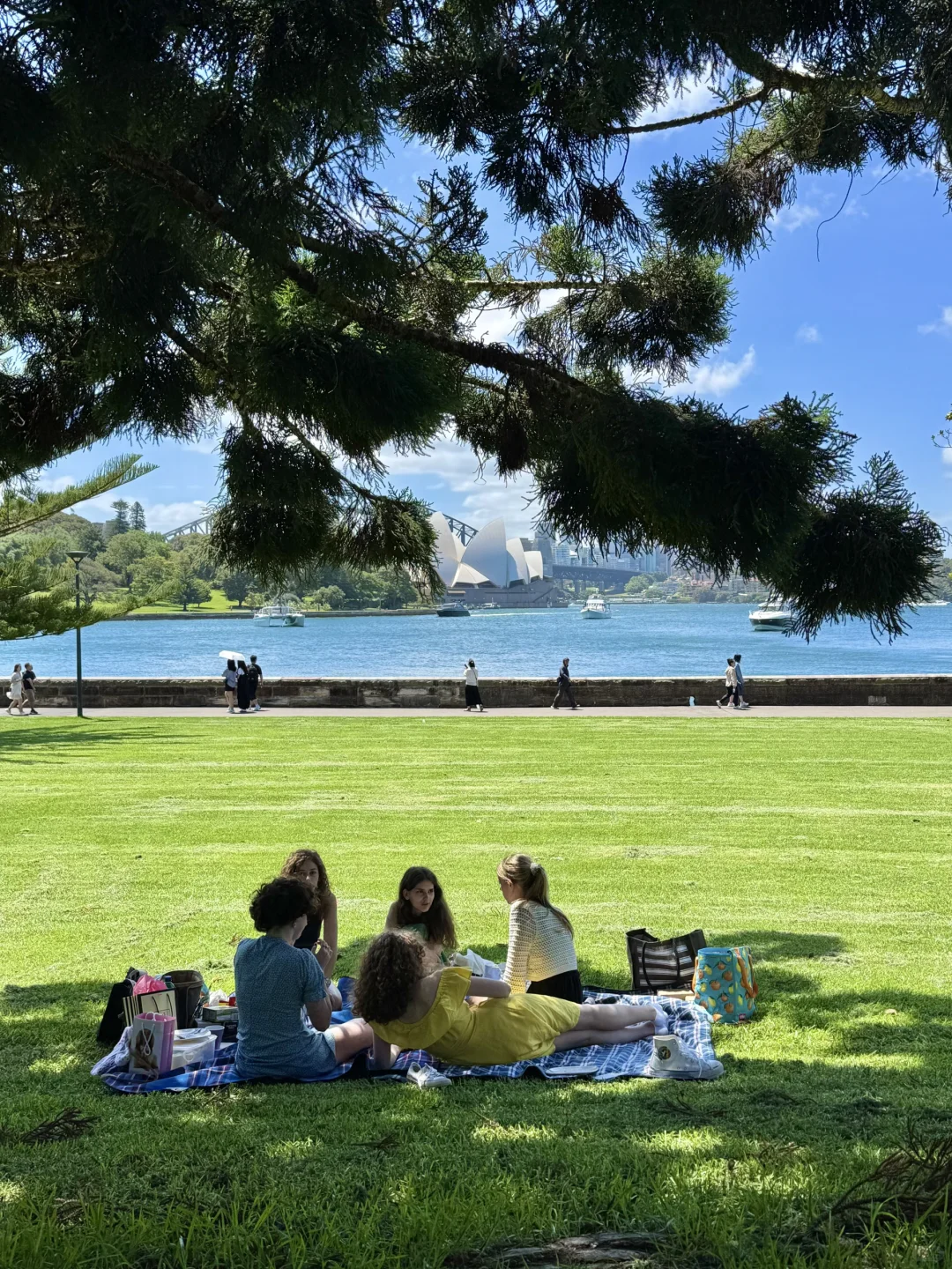南半球的春天,这与身俱来的松弛感❗️
